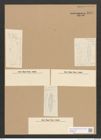 Diatomeae indet. Zeichnungen Sammlung Grunow Nr. 1691 (NHMW-BOT-W0368560)
